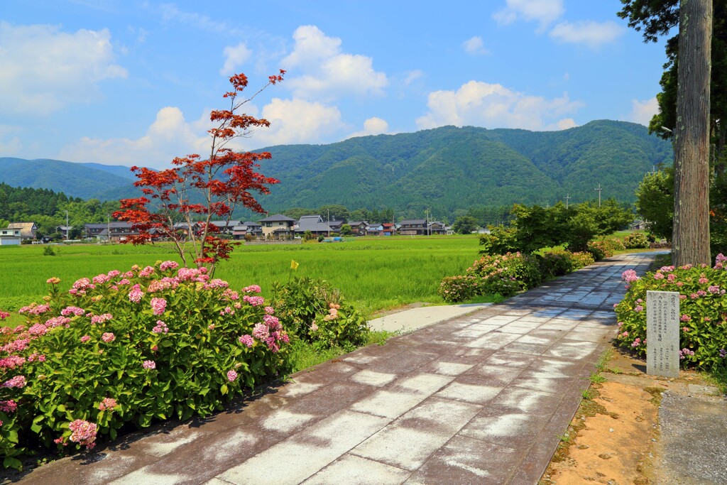 余呉(全長寺)2018-2