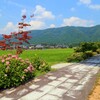 余呉(全長寺)2018-2