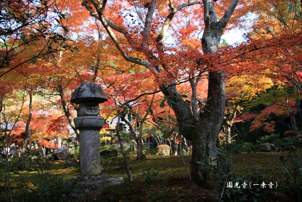 秋の散歩道(園光寺)