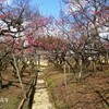 春はもうすぐ(北野天満宮2)
