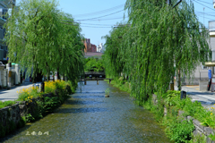 三条白川