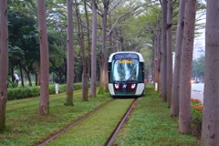 LRT(台湾-高雄)