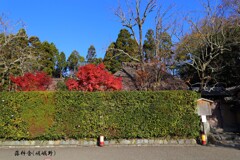 秋の散歩道(落柿舎)