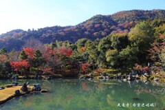 秋の散歩道(天竜寺)