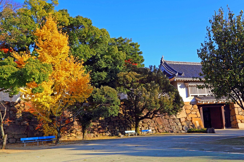 岡山城2017
