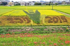 ごんの秋まつり(矢勝川2015)