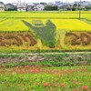 ごんの秋まつり(矢勝川2015)