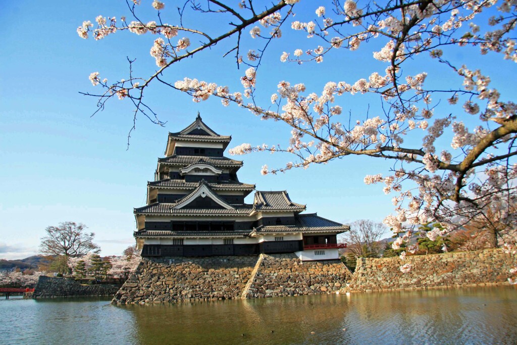 松本城2011