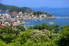 鞆の浦(医王寺)