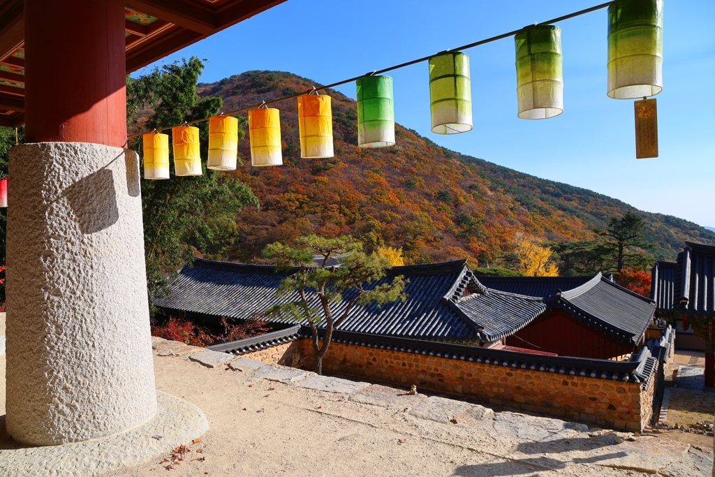 Korea紀行(釜山梵魚寺-5)