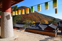 Korea紀行(釜山梵魚寺-5)