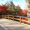 懐古園の紅葉-2