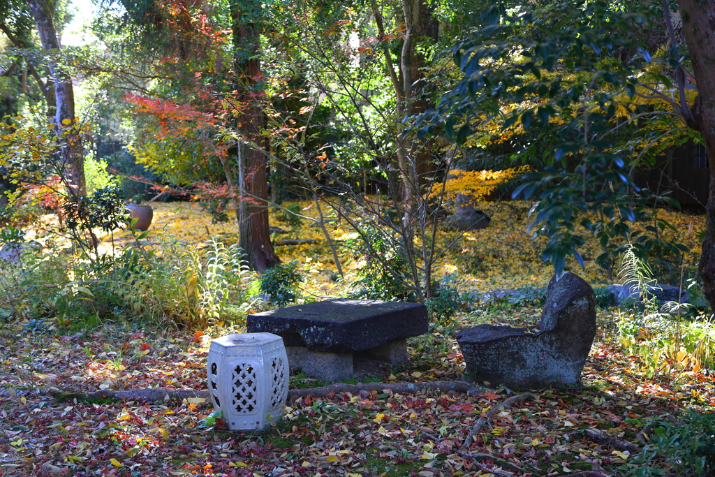 晩秋(白沙村荘-3)