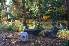 晩秋(白沙村荘-3)