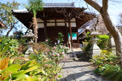 沈丁花(東北院)