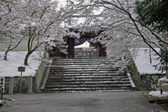 冬景色(曼殊院2014)