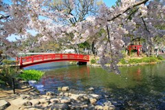臥竜公園2014-2
