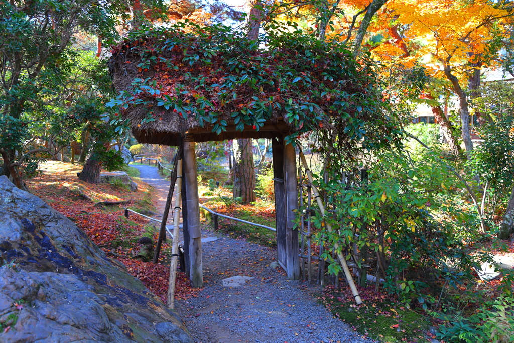 晩秋(白沙村荘橋本関雪記念館)