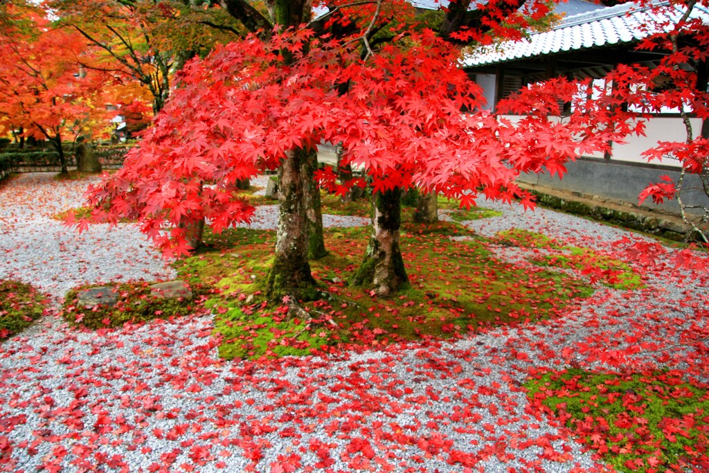 永源寺2008-1