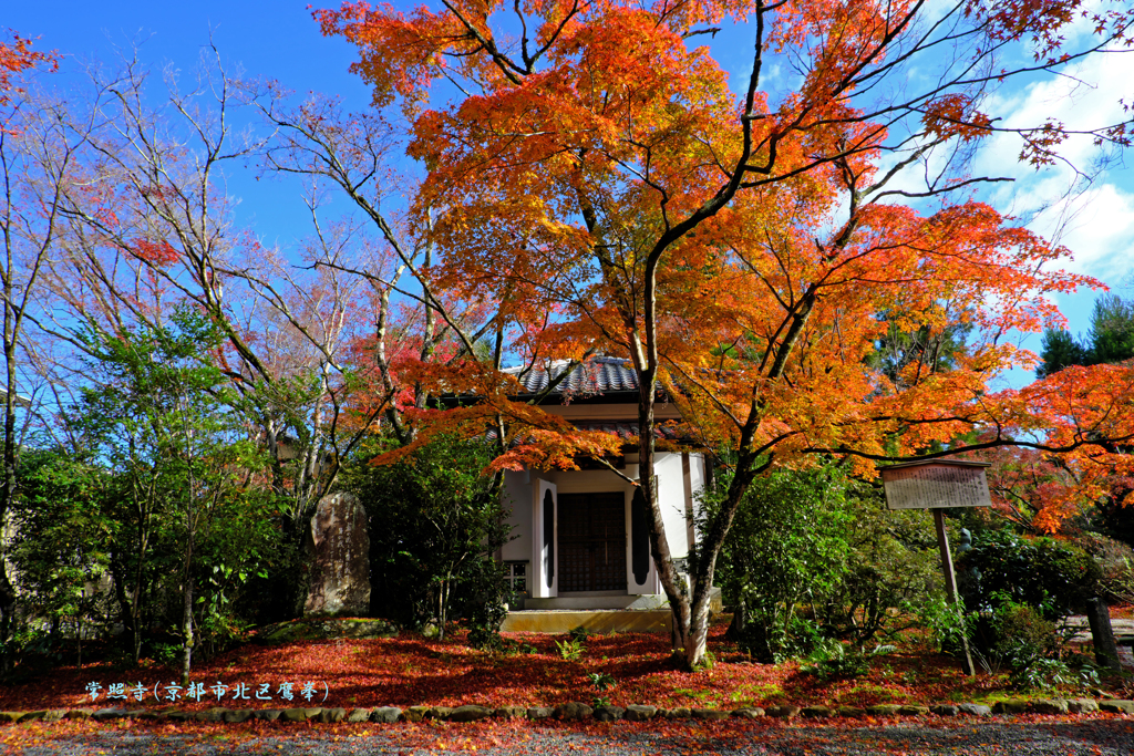 秋の散歩道(常照寺)