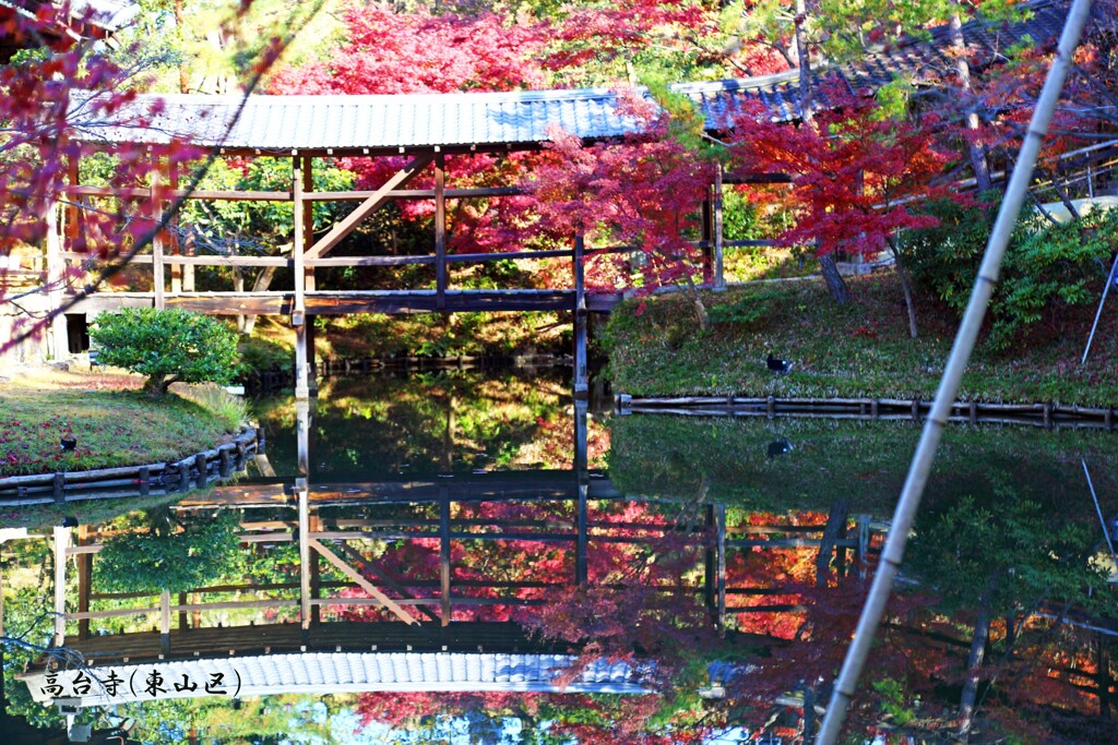 秋の散歩道(高台寺)