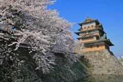 高島城公園2014-3