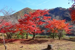 大野ダム公園