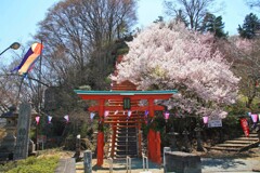 稲荷山公園2014-2