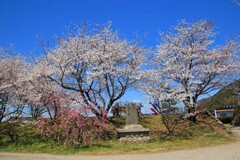 龍岡城跡(五稜郭公園2014)