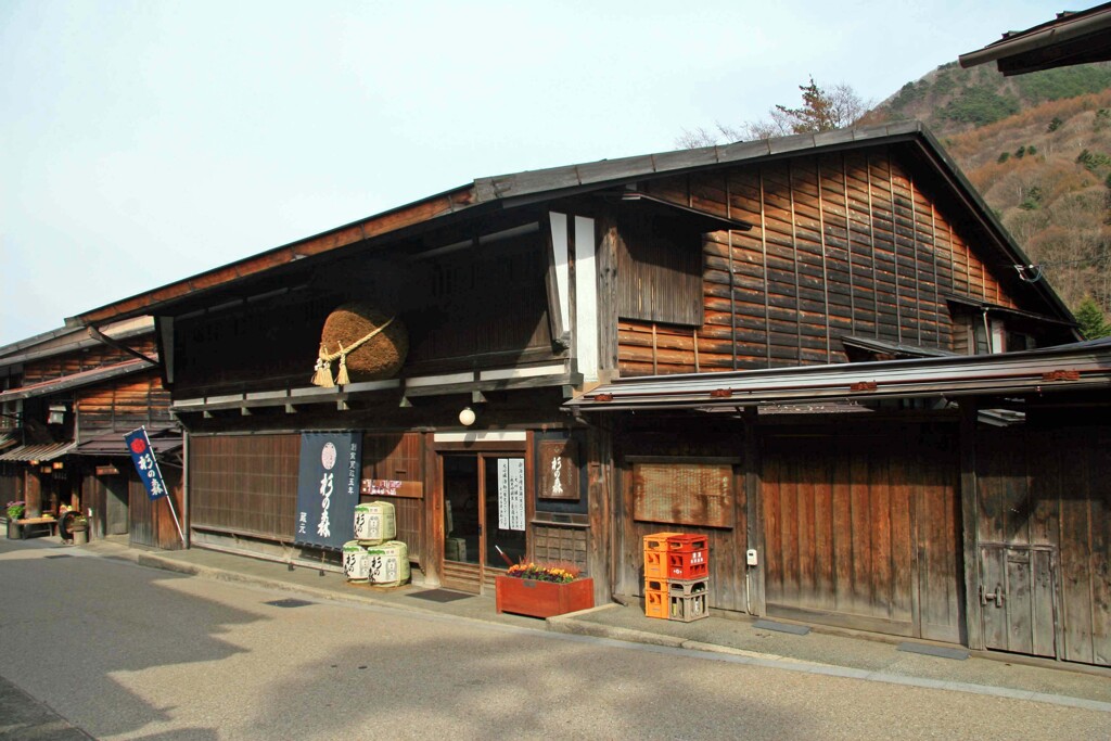 杉の森酒造(奈良井2011)