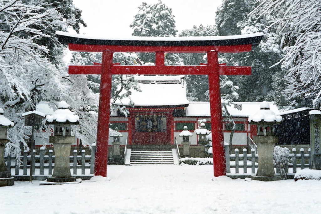 雪の日(大元宮)