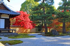秋の散歩道(蘆山寺)