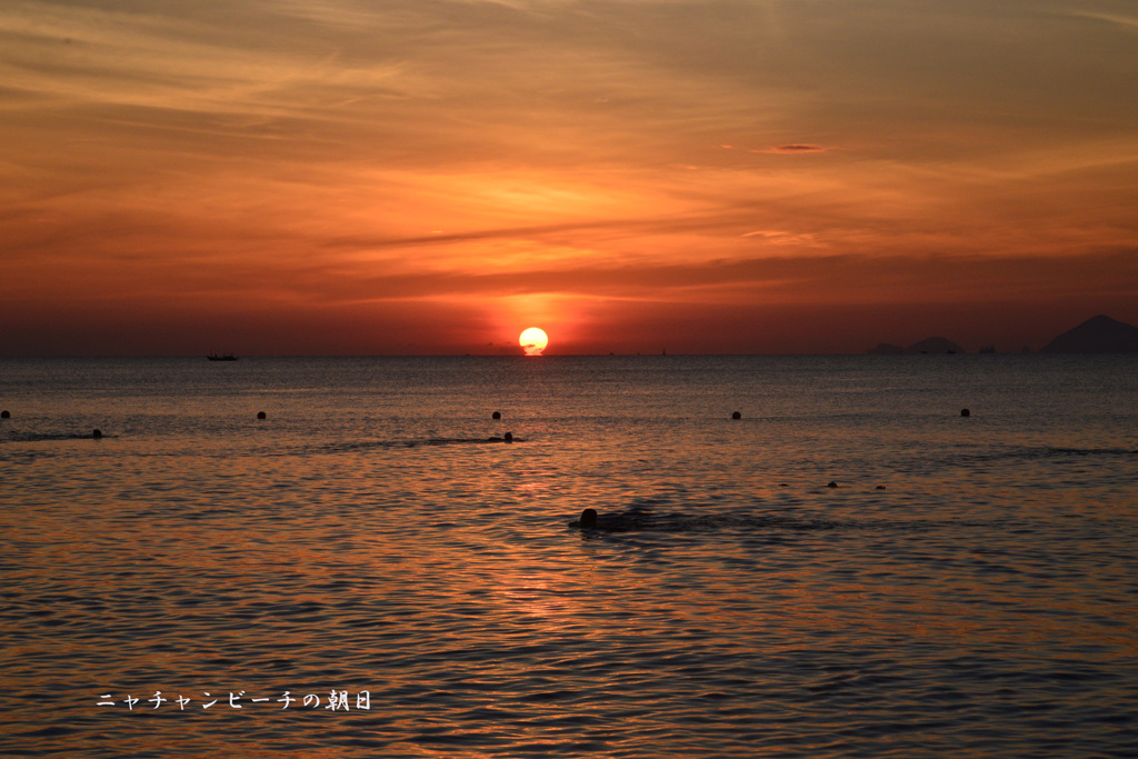 朝日の中で