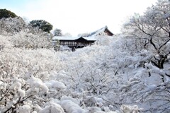 雪の日(東福寺2)