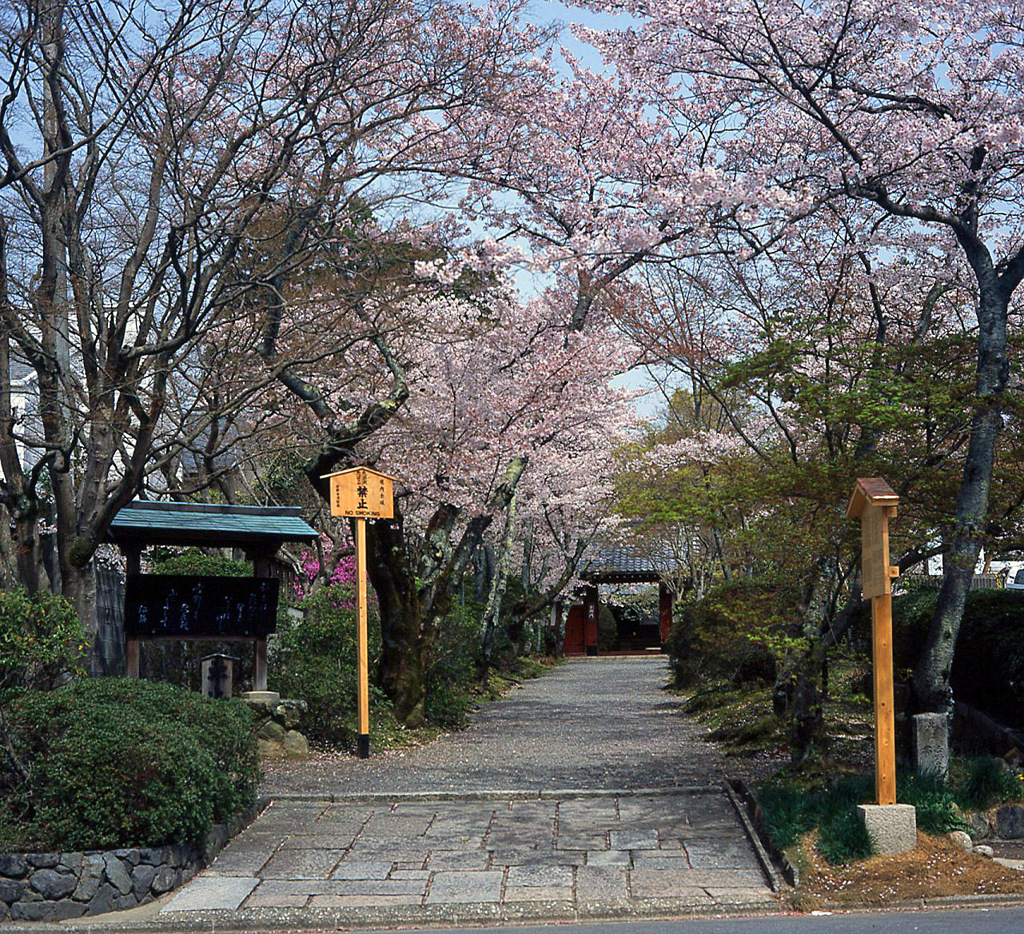 春がいっぱい(常照寺)