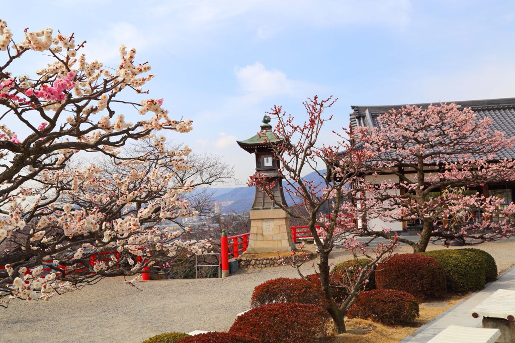 中山寺2017