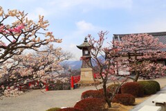 中山寺2017