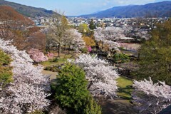 高島城公園2014