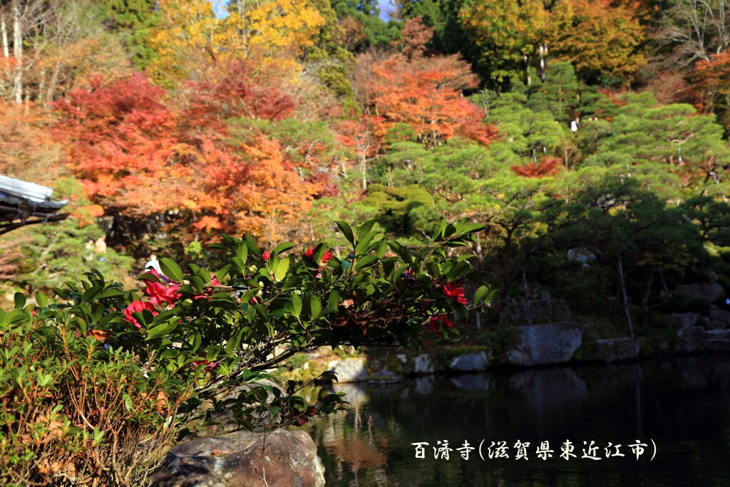 百済寺2016