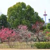 渉成園-2