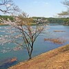 戸隠(飯綱高原)2015