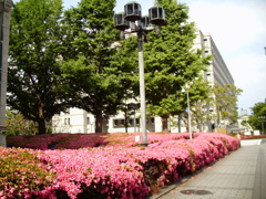 トイカメラ(日本銀行2020)