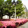 トイカメラ(日本銀行2020)