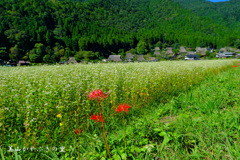 美山かやぶきの里