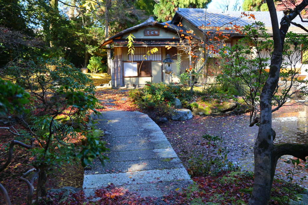 晩秋(白沙村荘-2)