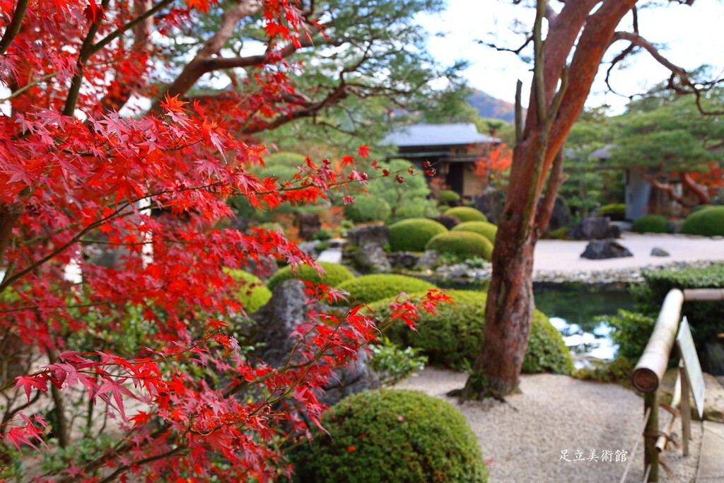 足立美術館(庭園の紅葉)