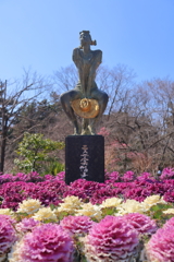 葉牡丹(京都府立植物園-2)