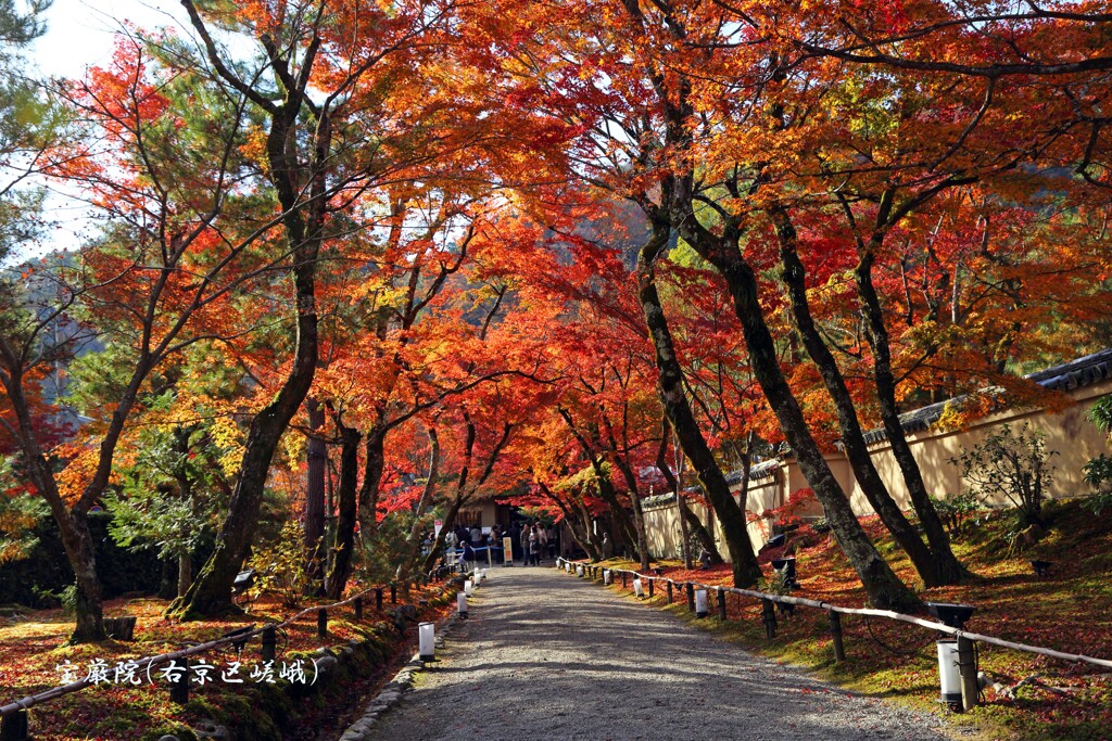 秋の散歩道(宝厳院2)