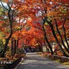 秋の散歩道(宝厳院2)