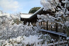 雪の日(東福寺3)